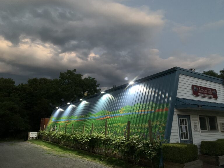 327253439 573840517939817 8099876370434667499 n 768x576