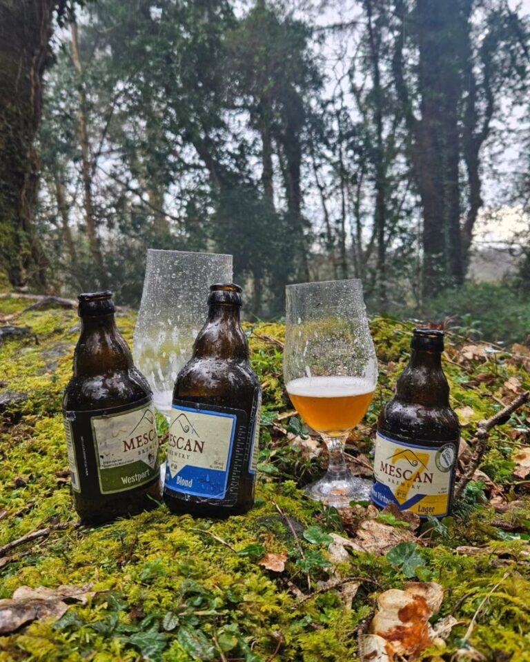 434403160 912416590894691 6287600912731530156 n 768x960