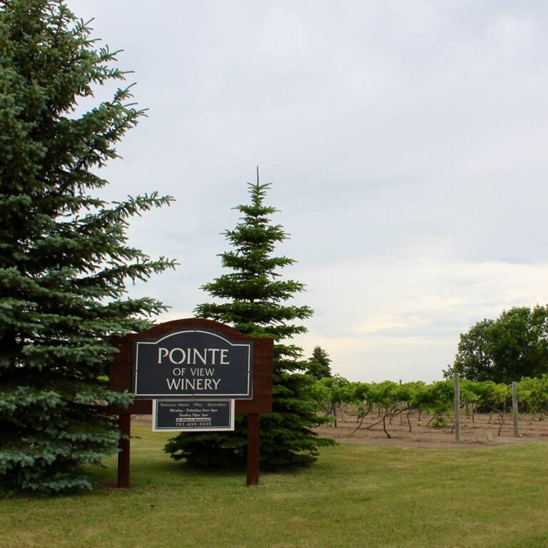 298836675 493229842805240 7189613225765580851 n 768x768