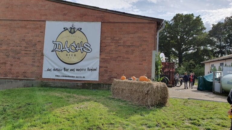 20231008 140650 768x432