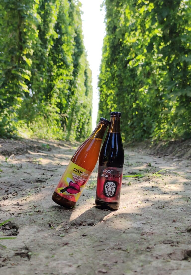 241836724 2169518586535101 1186072362311011006 n 768x1108