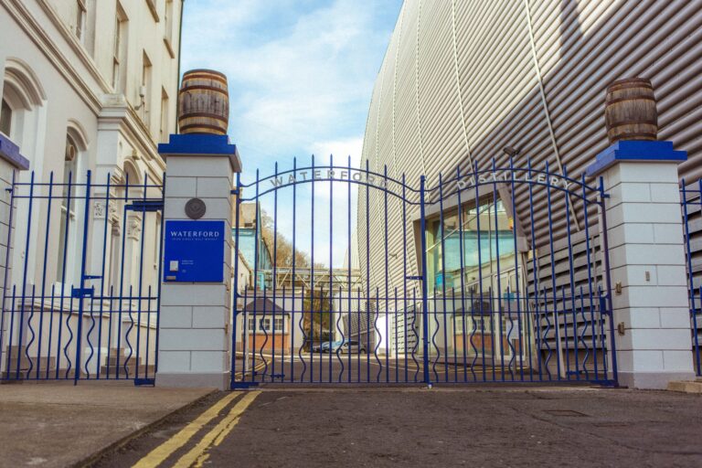 311592056 1572355976581919 4807971715853175500 n 768x512