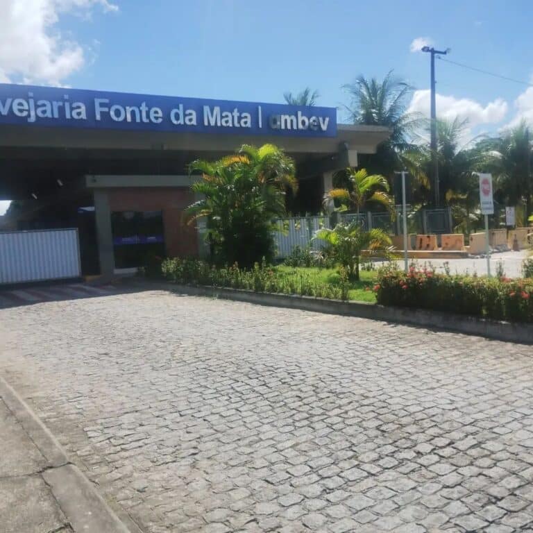 350875215 1350447628847735 5888414352894162705 n 768x768