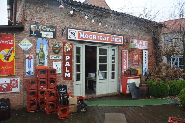 DSC 9095 resize 768x512