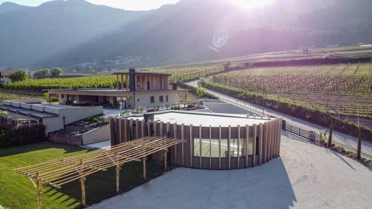 Weingut Shop Drohne 2 768x432