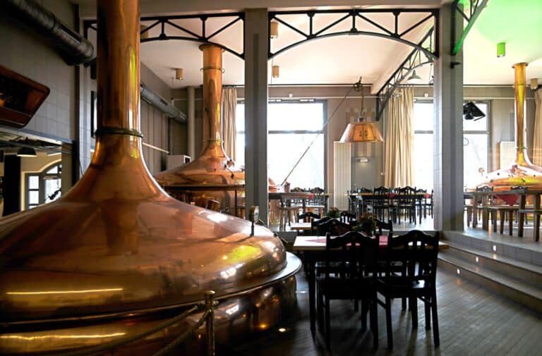 300585164 488452923284322 4166406139834121688 n 768x505