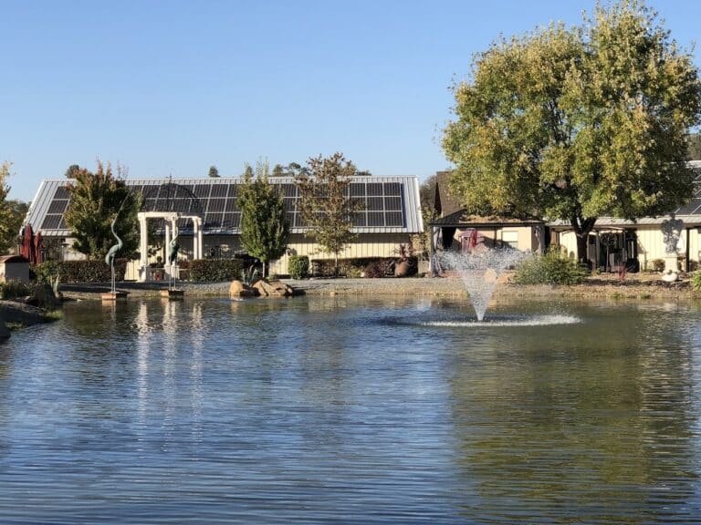 3011CA33 A3A7 429F ABFE CD5E5B039C29 768x576