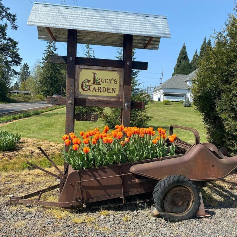 356232722 742370064566890 2201656025304840376 n 768x768