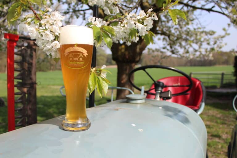 Isendorfer Weizen 768x512