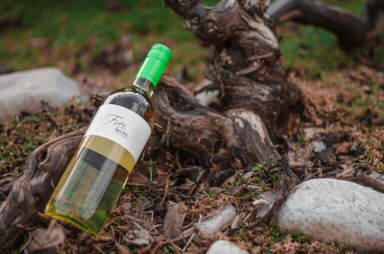 449119982 1458505818133799 2950751247985313307 n 768x509