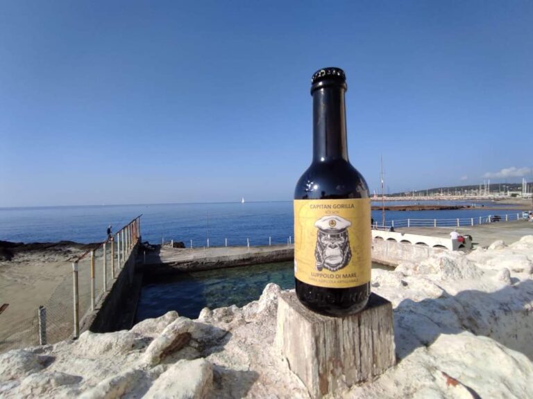 FB IMG 1609373227414 768x576