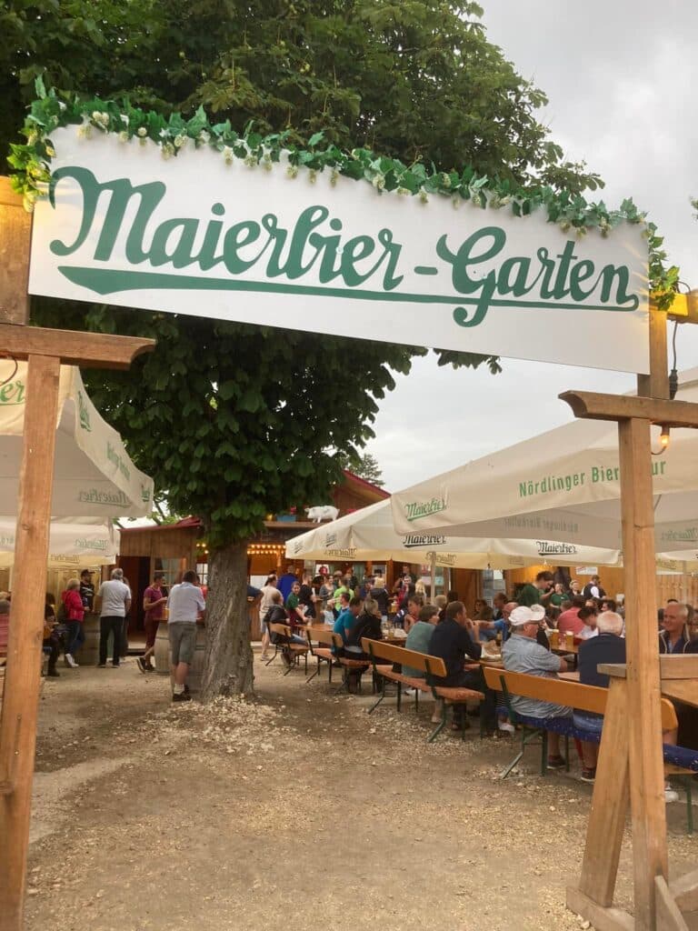 289355866 5222853061116028 6582808273634275475 n 768x1024