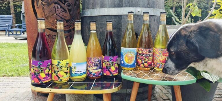 457880075 1082601800539553 1464007532457135905 n 768x349