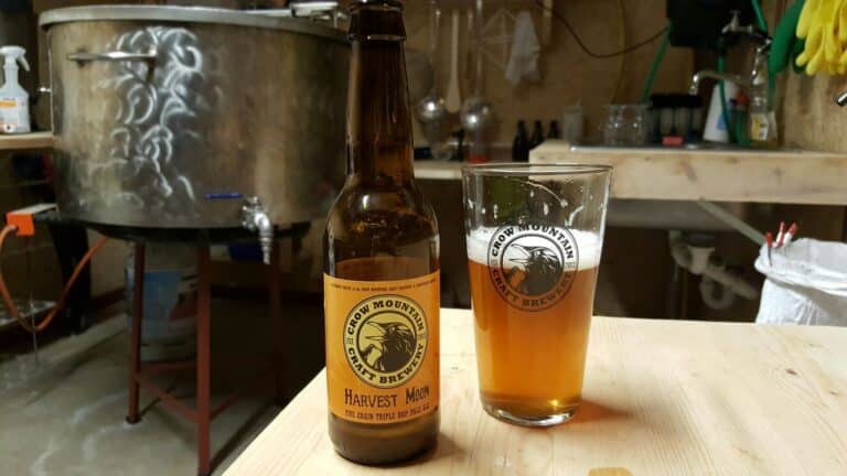 480238311 1286228646427637 3025912855845604598 n 768x432