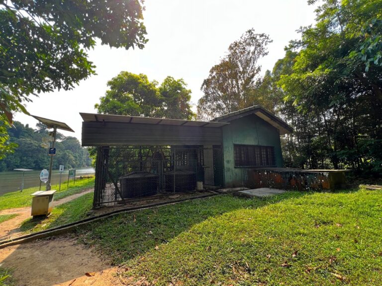 IMG 0155photo 768x576