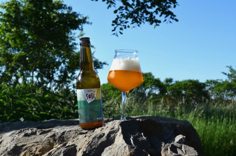 199470931 154408510054223 8699913770879273555 n 768x508