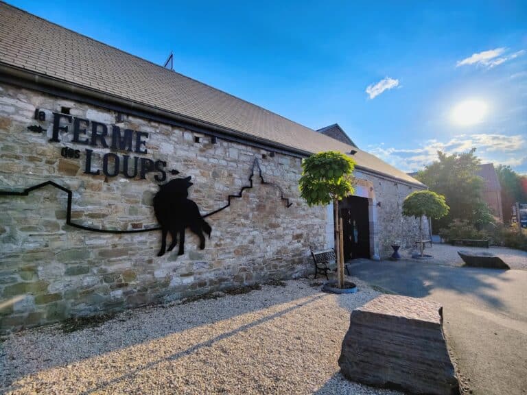 2023 06 11 1 768x576