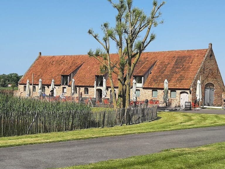 2024 06 05 1 768x576