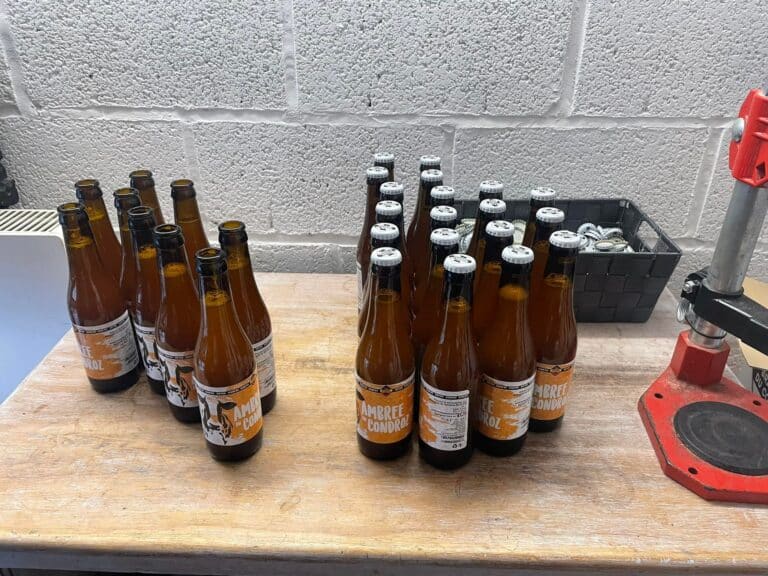 329030050 887716619095260 7089235587705111947 n 768x576