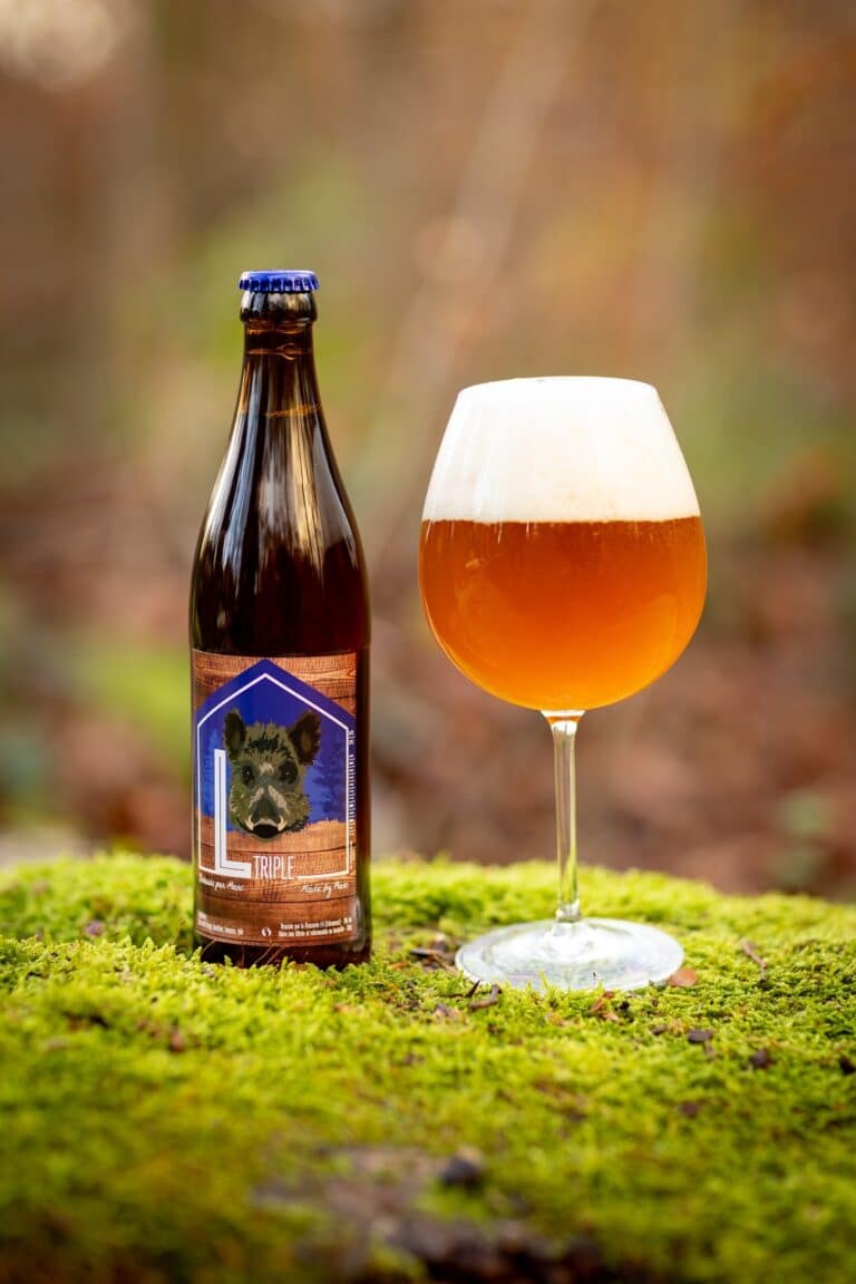 424599392 928360039078712 6663498313822172427 n 768x1152