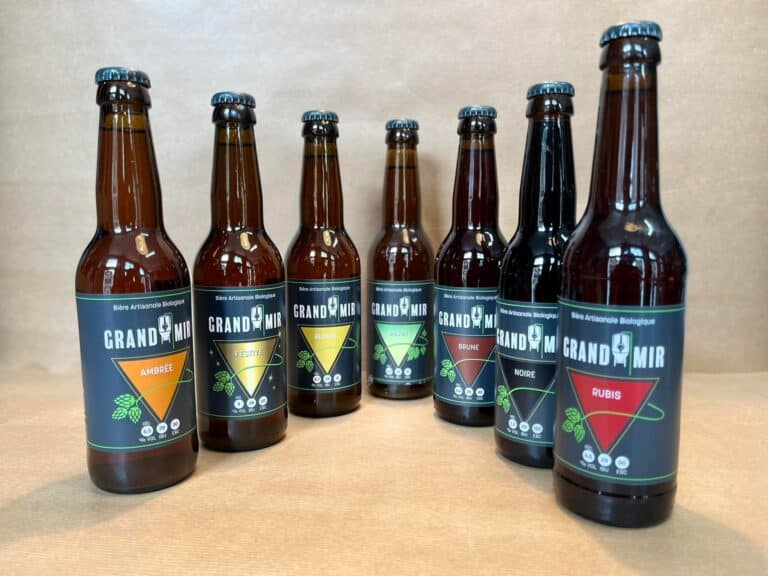 477067078 2389825754700381 4889281503809237564 n 768x576