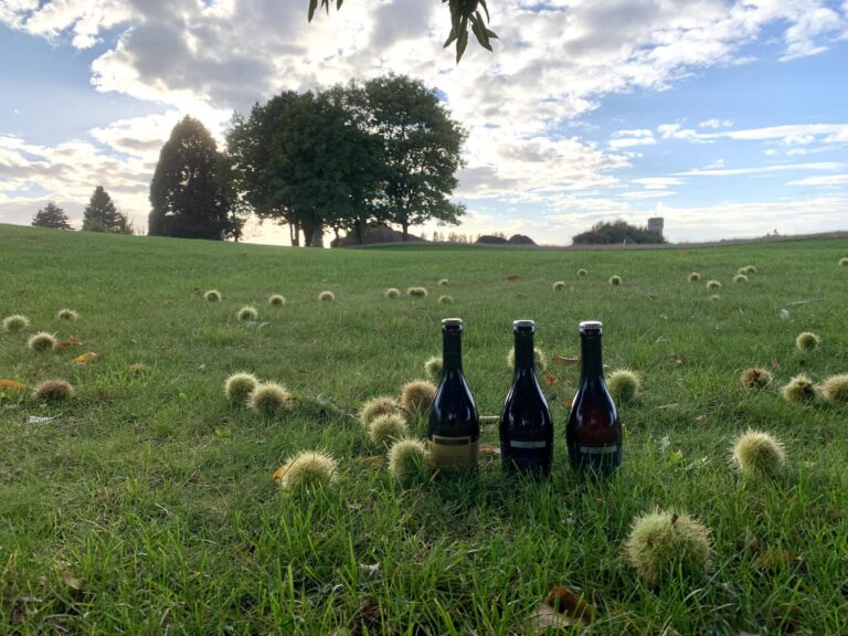 480451834 1166335141849847 6827759671077065774 n 768x576