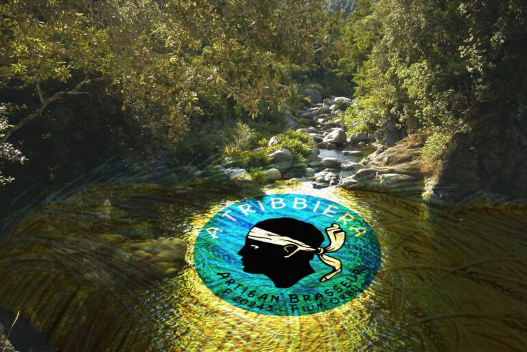 309312538 439040991654390 5943943625652841792 n 768x514