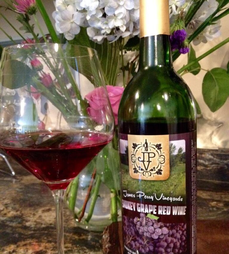 463443631 27225121260464659 7160312674109572142 n 768x851