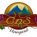 465549463 10232989513789910 823643488780257616 n 1