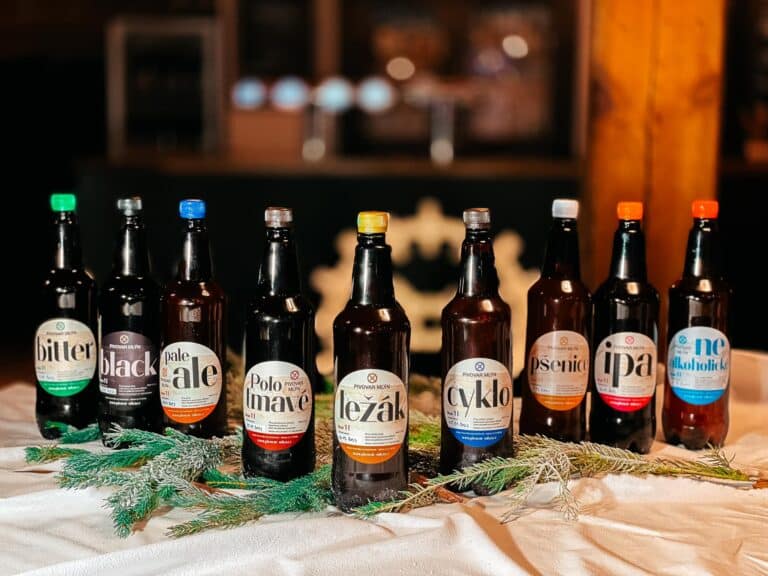 465889500 1116944713767632 745689108208705143 n 768x576