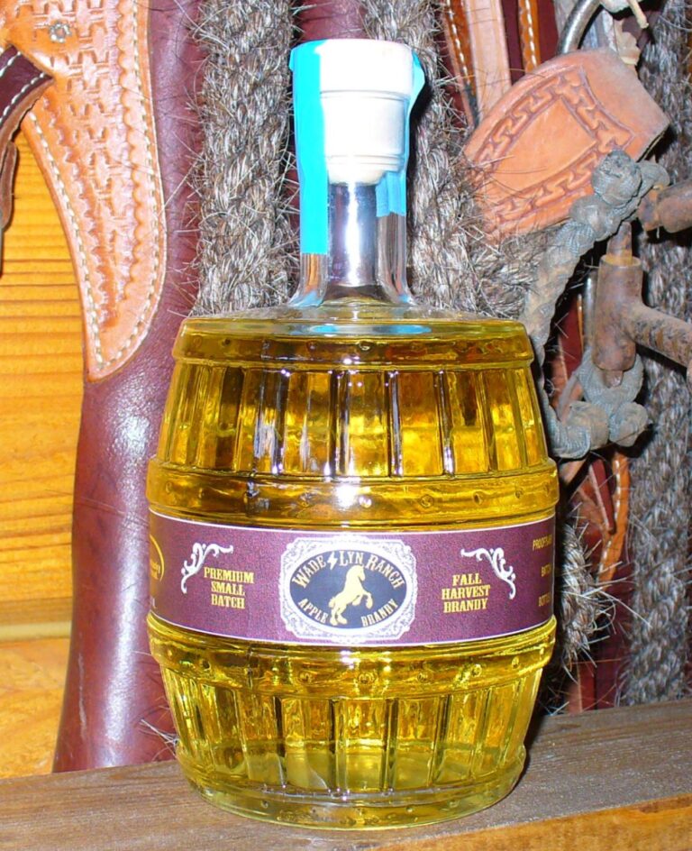 487511787 3526354114333675 149189868699651885 n 768x944