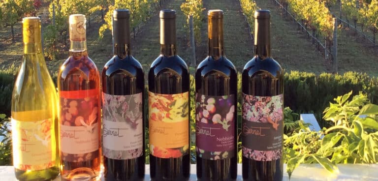 bernatwinelrgbanner 768x368