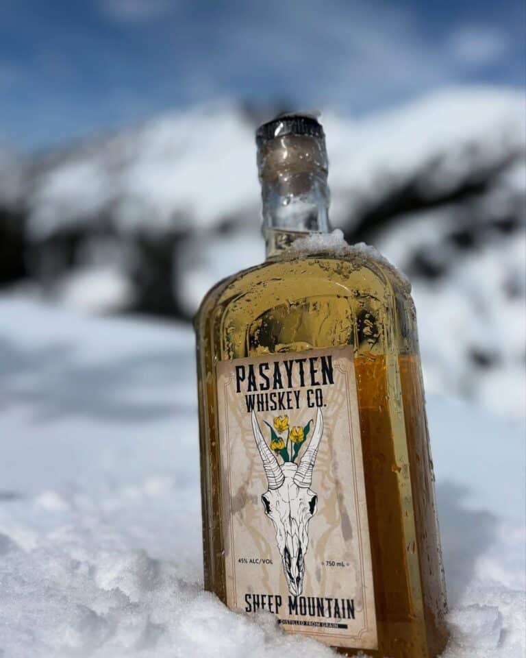 495690436 17857197936421181 2533406110292898142 n 768x960