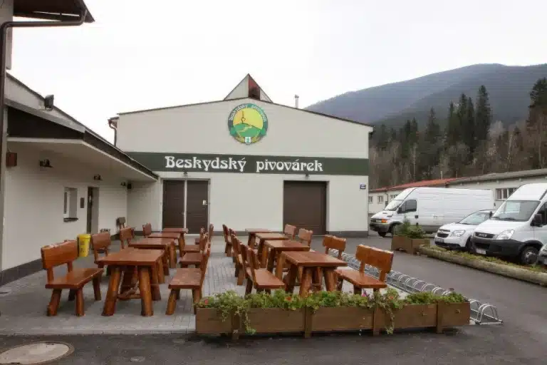 IMG 5350 1024x682 1 768x512