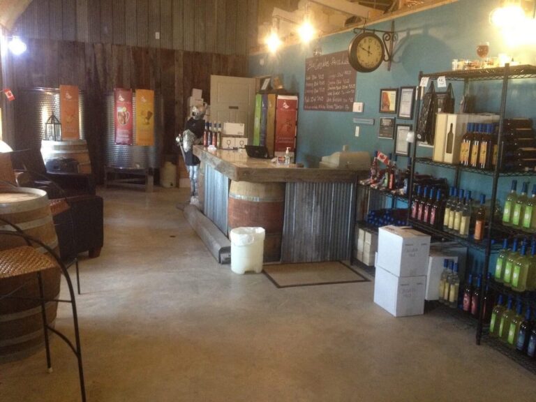 blue gypsy wines 768x576