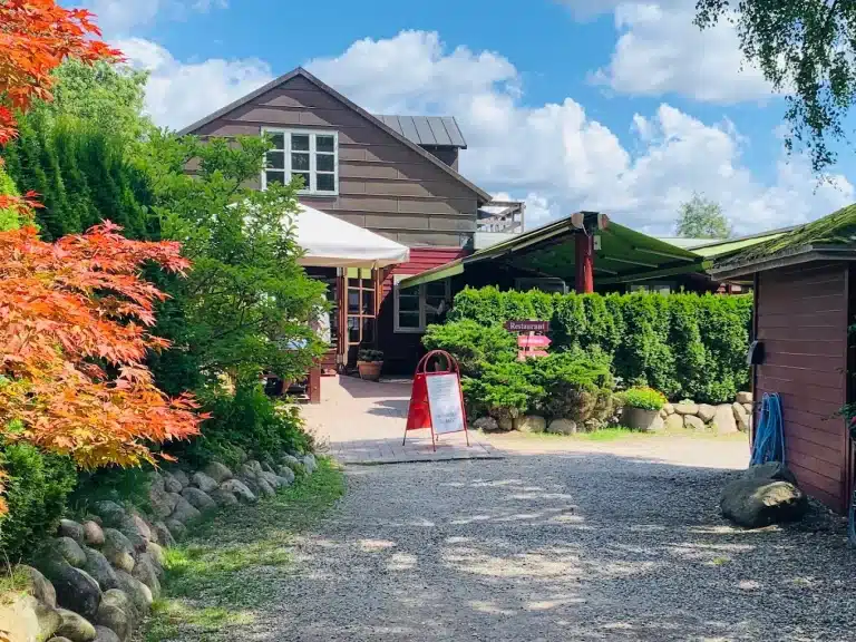 unnamed 2025 05 19T173645.097 768x576