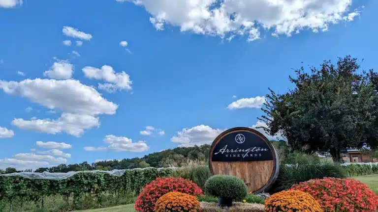 unnamed 2025 05 19T185203.080 768x432