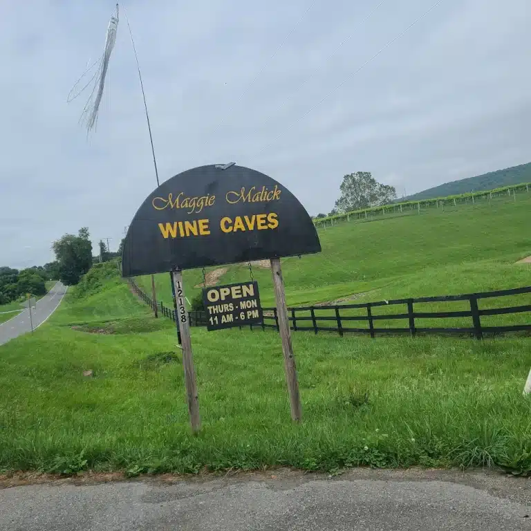 unnamed 2025 05 24T193202.242 768x768