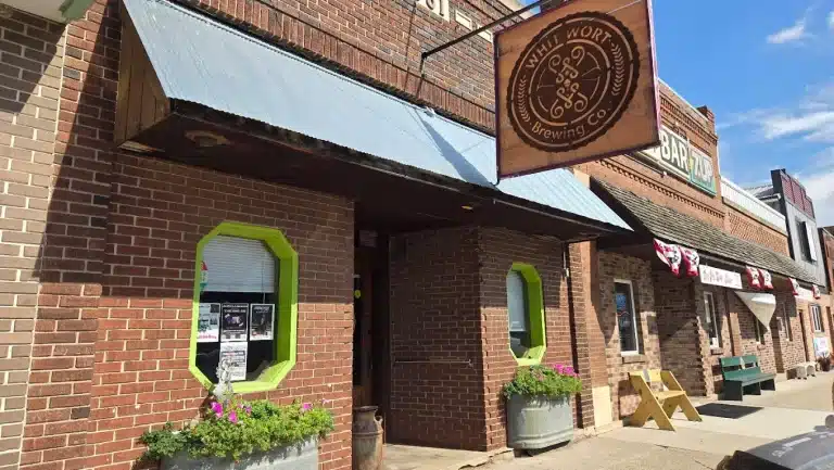 unnamed 2025 05 28T100753.195 768x433