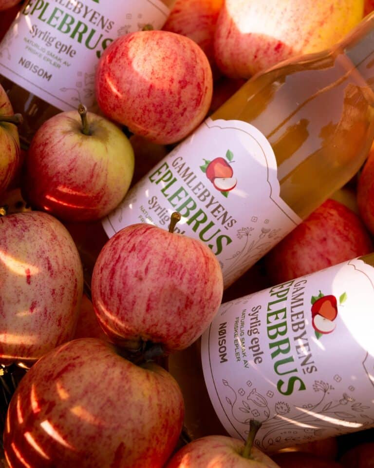 473637479 18487153891043080 1660203514915667458 n 768x959