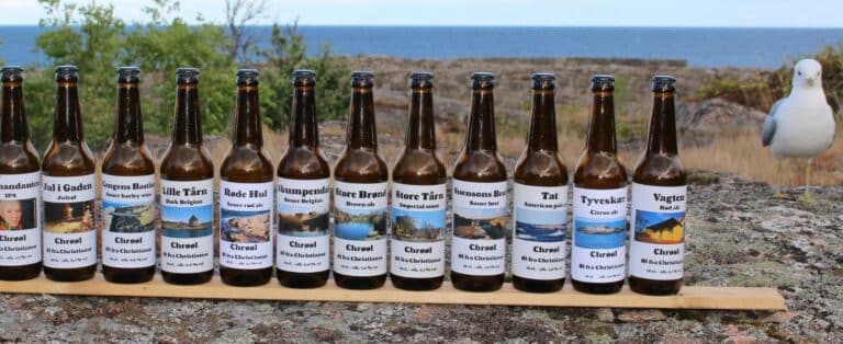 473659203 939888948234783 4904763279194603921 n 768x314