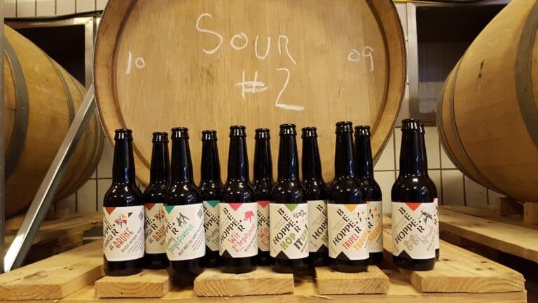 476985672 1187603850033155 3404885247675719368 n 768x432