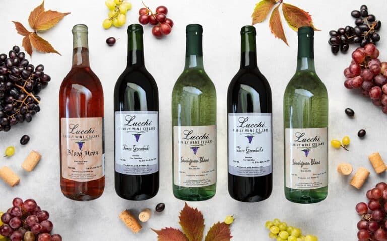 480171096 928837072739198 7462144338313502404 n 768x478