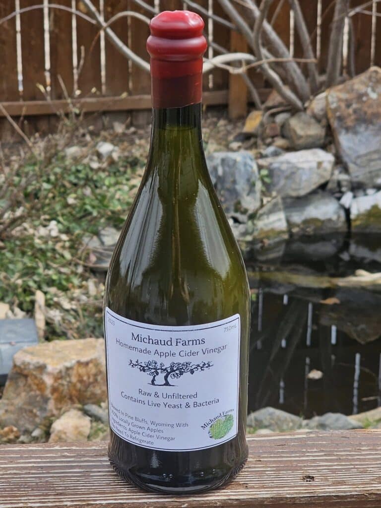 481153917 656378107045593 3500622379651088822 n 768x1024