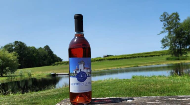 484655242 1163511462238221 956868513086338298 n 768x428