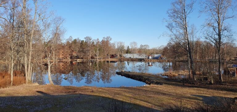 490538591 1073515911482154 79160352241428331 n 1 768x363