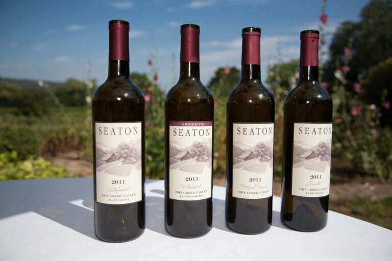 492425343 2989554717892762 1247856552193082058 n 768x512