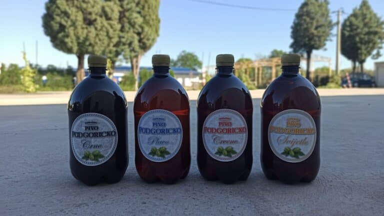 95877463 105624861145669 4173461902397014016 n 768x433