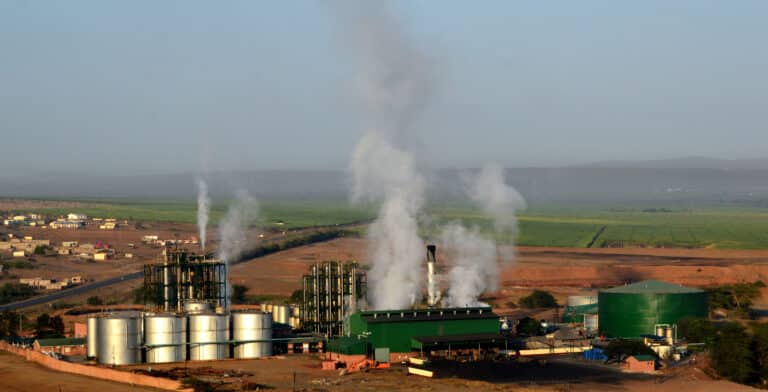 DSC 2630edited 768x392