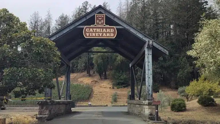 unnamed 2025 06 04T144413.593 768x433